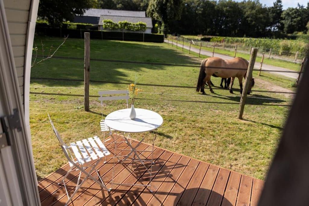 De Verpozing - Vakantiehuisjes Milsbeek Extérieur photo